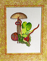 Hermaphrodite Nereid