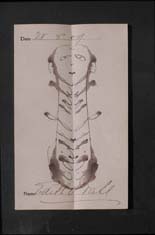Edith Wall - signature art